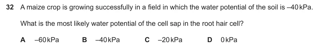 Specimen Paper 1, question 32: A maize crop is growing successfully in a field in which the water potential of the soil is –40 kPa. What is the most likely water potential of the cell sap in 