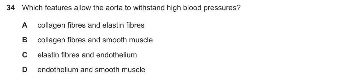 Specimen Paper 1, question 34: Which features allow the aorta to withstand high blood pressures? A collagen fibres and elastin fibres B collagen fibres and smooth muscle C elastin fibres and 