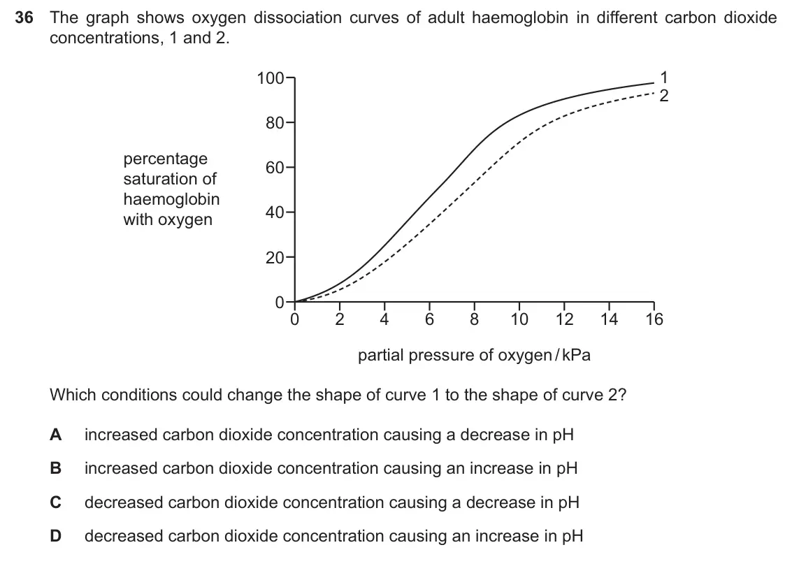 Specimen Paper 1, question 36: The graph shows oxygen dissociation curves of adult haemoglobin in different carbon dioxide concentrations, 1 and 2. 100 1 2 80 percentage 60 saturation of haem