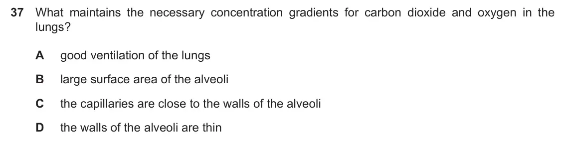 Specimen Paper 1, question 37: What maintains the necessary concentration gradients for carbon dioxide and oxygen in the lungs? A good ventilation of the lungs B large surface area of the alv