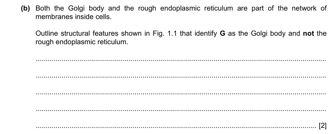 Specimen Paper 2, question 1(b): Both the Golgi body and the rough endoplasmic reticulum are part of the network of membranes inside cells. Outline structural features shown in Fig. 1.1 that id