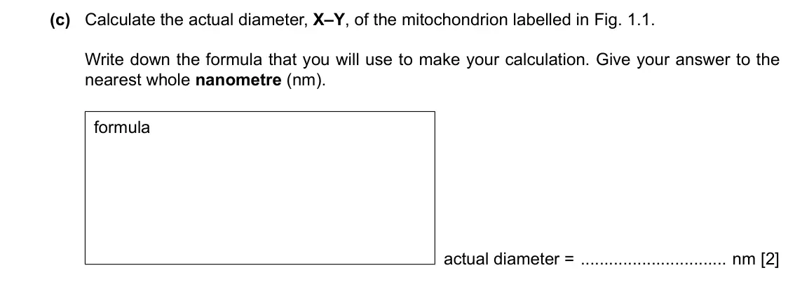 Specimen Paper 2, question 1(c): Calculate the actual diameter, X–Y, of the mitochondrion labelled in Fig. 1.1. Write down the formula that you will use to make your calculation. Give your answ