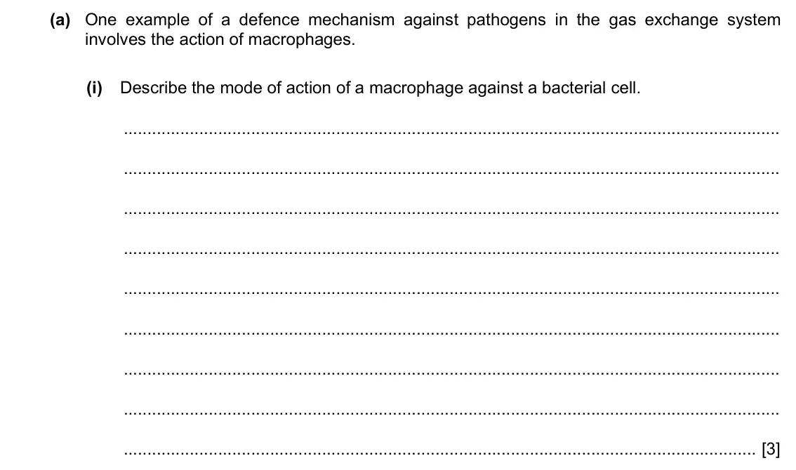 Specimen Paper 2, question 2(a)(i): Describe the mode of action of a macrophage against a bacterial cell. [3]