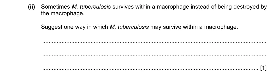 Specimen Paper 2, question 2(a)(ii): Sometimes M. tuberculosis survives within a macrophage instead of being destroyed by the macrophage. Suggest one way in which M. tuberculosis may survive within