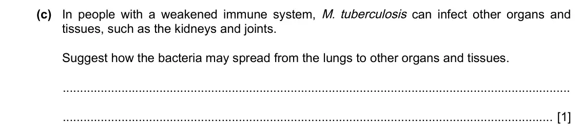 Specimen Paper 2, question 2(c): In people with a weakened immune system, M. tuberculosis can infect other organs and tissues, such as the kidneys and joints. Suggest how the bacteria may sprea