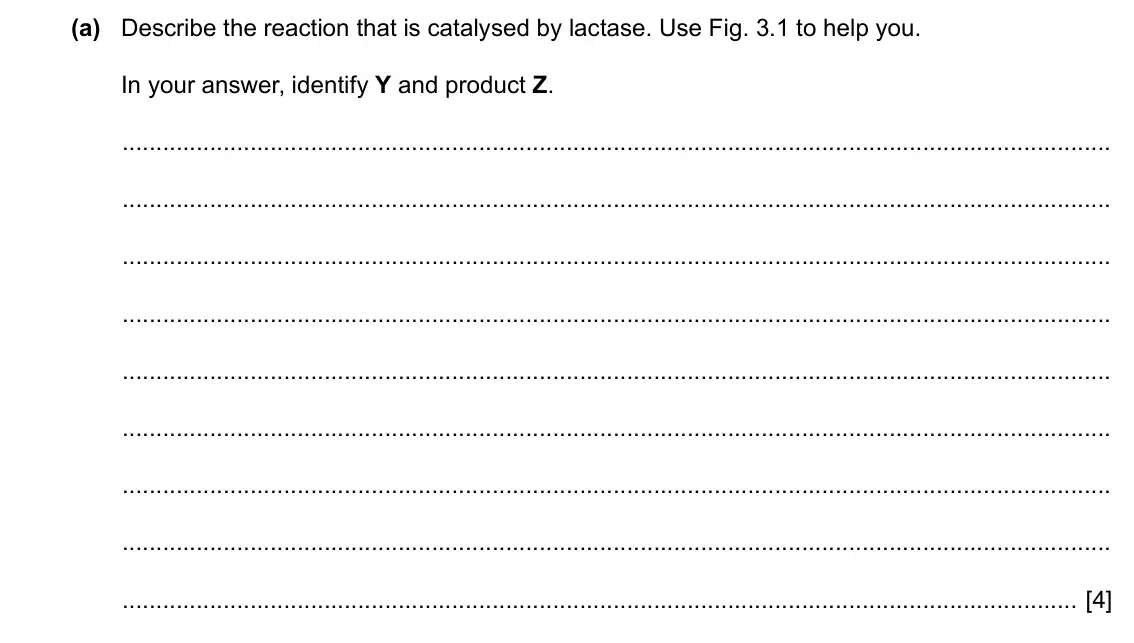 Specimen Paper 2, question 3(a): Describe the reaction that is catalysed by lactase. Use Fig. 3.1 to help you. In your answer, identify Y and product Z. [4]