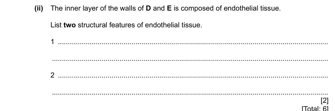 Specimen Paper 2, question 5(b)(ii): The inner layer of the walls of D and E is composed of endothelial tissue. List two structural features of endothelial tissue. 1 2 [2] [Total: 6]