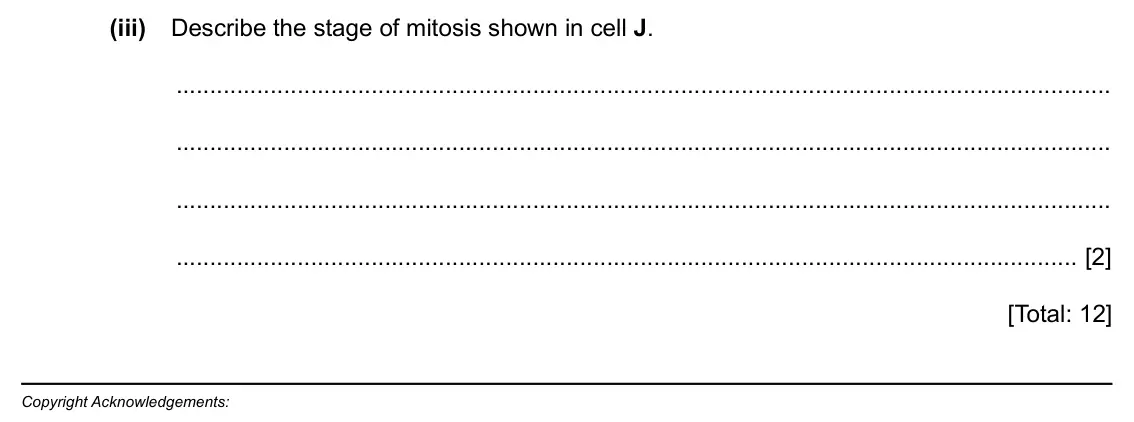 Specimen Paper 2, question 6(b)(iii): Describe the stage of mitosis shown in cell J. [2] [Total: 12] Copyright Acknowledgements: