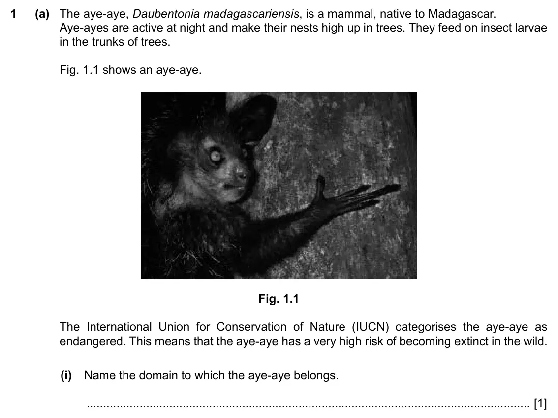 Specimen Paper 4, question 1(a)(i): Name the domain to which the aye-aye belongs. [1]