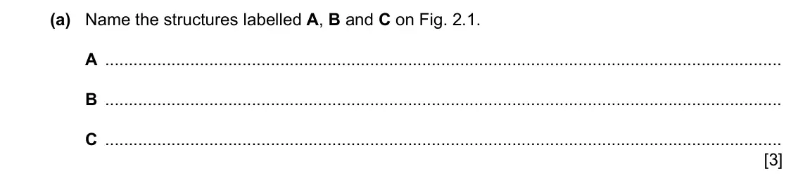 Specimen Paper 4, question 2(a): Name the structures labelled A, B and C on Fig. 2.1. A B C [3]
