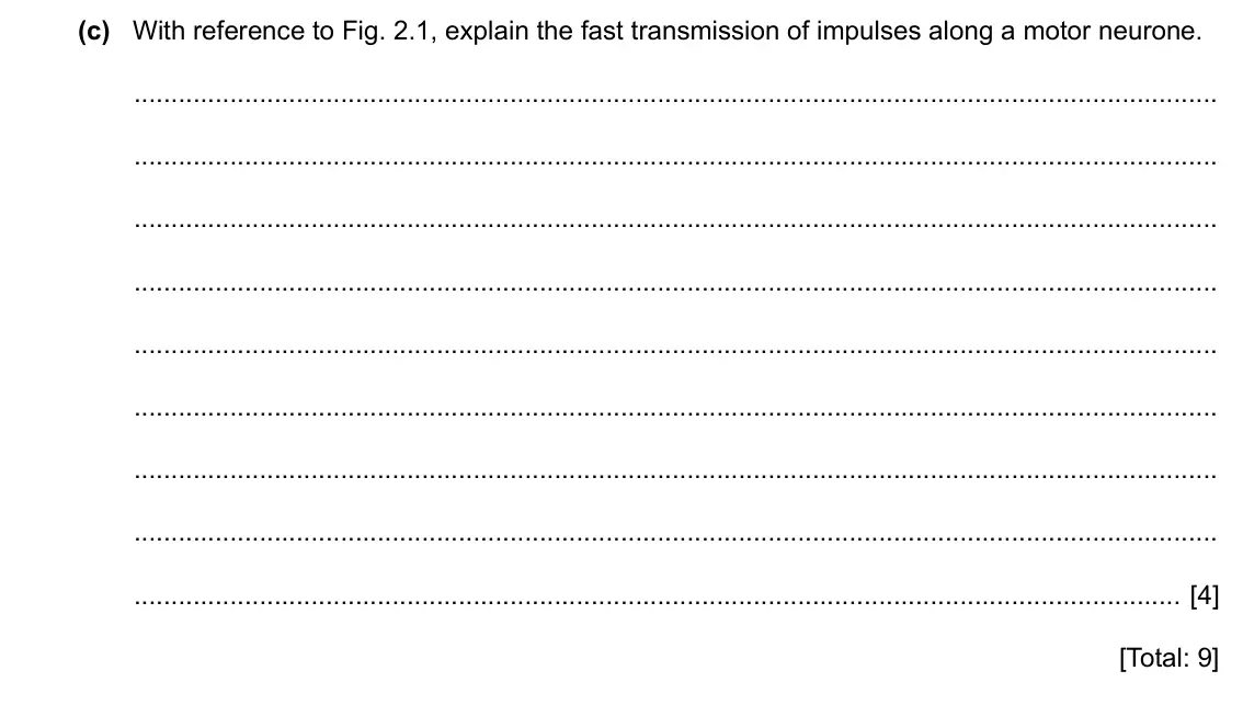 Specimen Paper 4, question 2(c): With reference to Fig. 2.1, explain the fast transmission of impulses along a motor neurone. [4] [Total: 9]