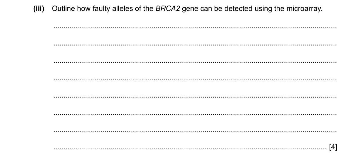 Specimen Paper 4, question 4(b)(iii): Outline how faulty alleles of the BRCA2 gene can be detected using the microarray. [4]
