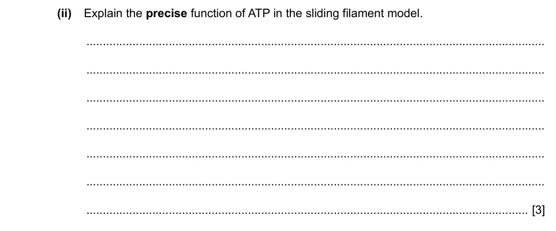 Specimen Paper 4, question 5(a)(ii): Explain the precise function of ATP in the sliding filament model. [3]