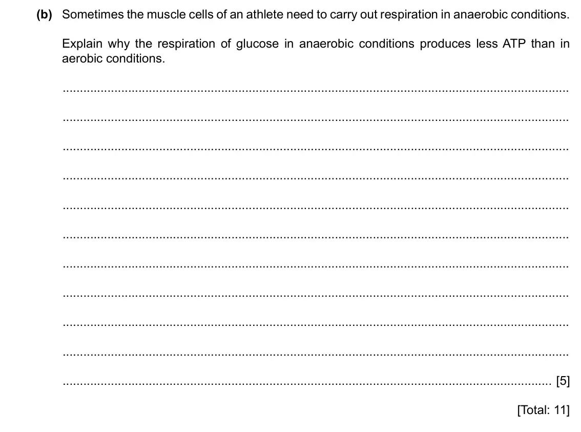 Specimen Paper 4, question 8(b): Sometimes the muscle cells of an athlete need to carry out respiration in anaerobic conditions. Explain why the respiration of glucose in anaerobic conditions p