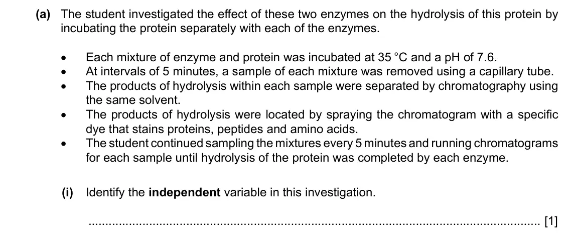 Specimen Paper 5, question 1(a)(i): The student investigated the effect of these two enzymes on the hydrolysis of this protein by incubating the protein separately with each of the enzymes. •• Eac