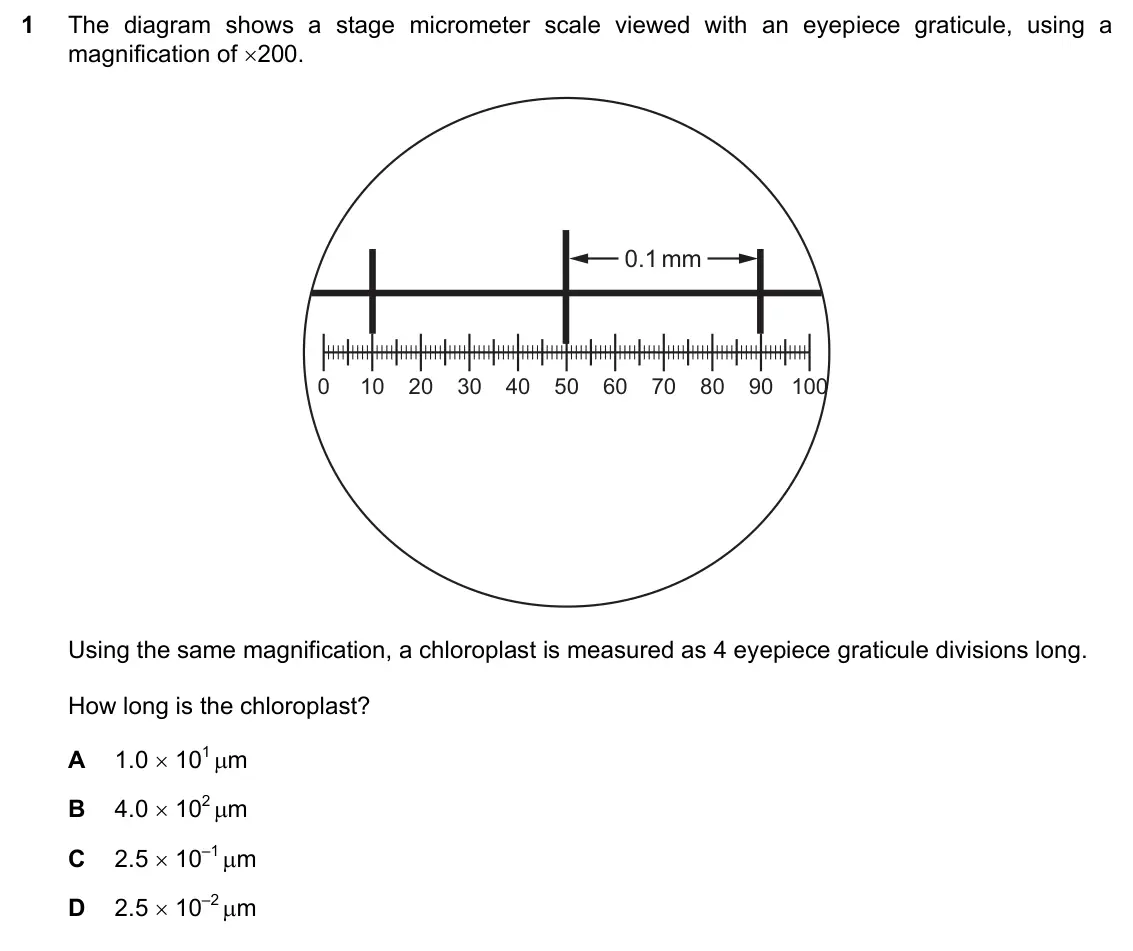 June 2024 Paper 1, question 1: The diagram shows a stage micrometer scale viewed with an eyepiece graticule, using a magnification of 200. 0.1 mm 0 10 20 30 40 50 60 70 80 90 100 Using the s