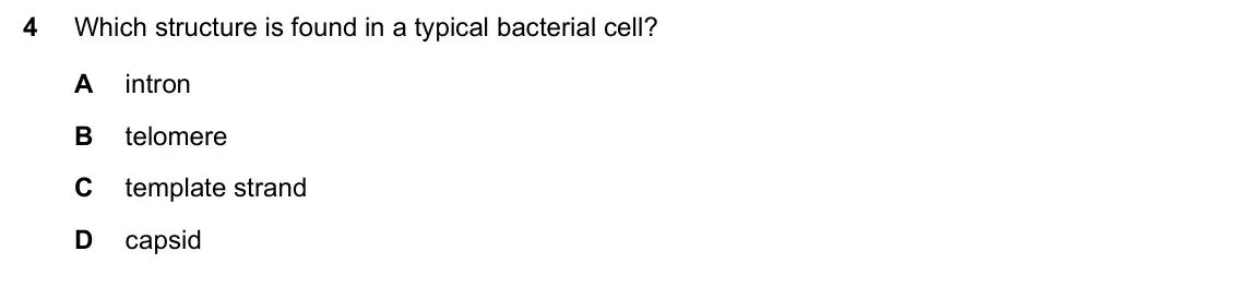 June 2024 Paper 1, question 4: Which structure is found in a typical bacterial cell? A intron B telomere C template strand D capsid
