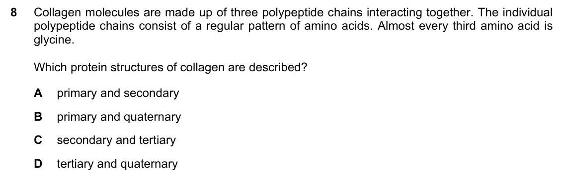 June 2024 Paper 1, question 8: Collagen molecules are made up of three polypeptide chains interacting together. The individual polypeptide chains consist of a regular pattern of amino acids.