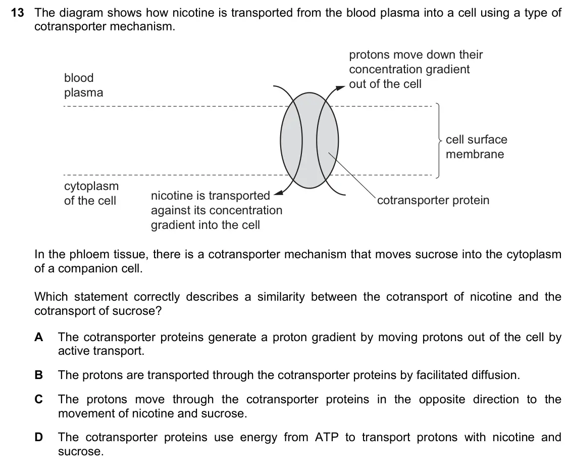 June 2024 Paper 1, question 13: The diagram shows how nicotine is transported from the blood plasma into a cell using a type of cotransporter mechanism. protons move down their concentration g