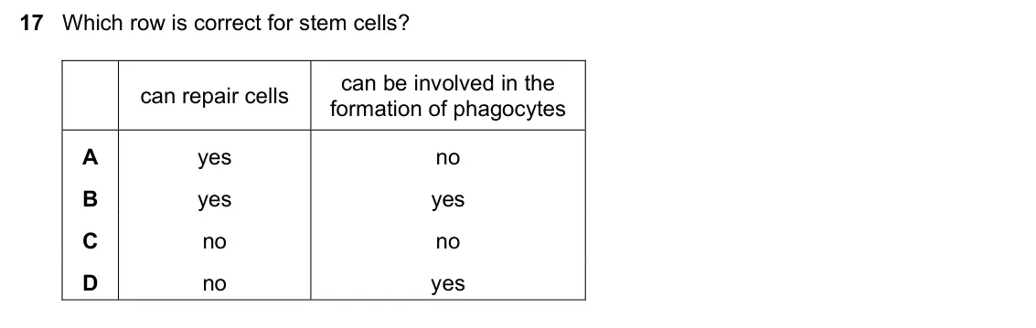 June 2024 Paper 1, question 17: Which row is correct for stem cells? can be involved in the can repair cells formation of phagocytes A yes no B yes yes C no no D no yes
