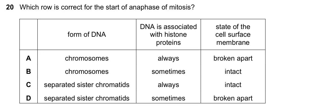 June 2024 Paper 1, question 20: Which row is correct for the start of anaphase of mitosis? DNA is associated state of the form of DNA with histone cell surface proteins membrane A chromosomes 