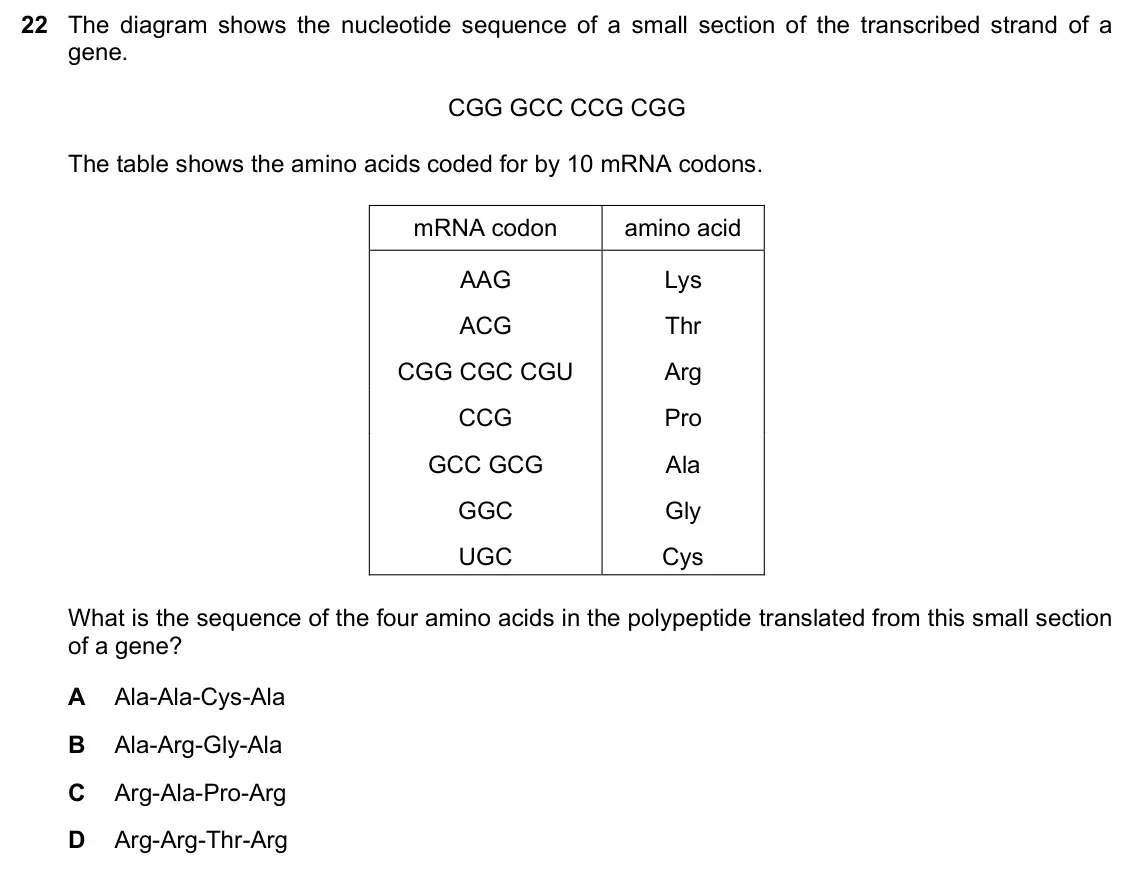 June 2024 Paper 1, question 22: The diagram shows the nucleotide sequence of a small section of the transcribed strand of a gene. CGG GCC CCG CGG The table shows the amino acids coded for by 1