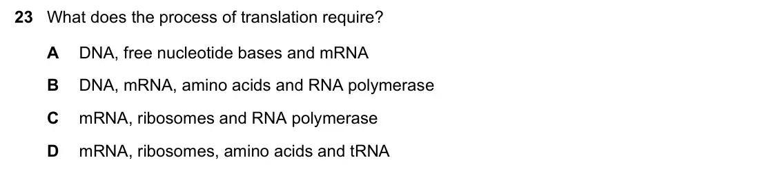 June 2024 Paper 1, question 23: What does the process of translation require? A DNA, free nucleotide bases and mRNA B DNA, mRNA, amino acids and RNA polymerase C mRNA, ribosomes and RNA polyme