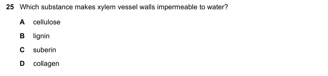 June 2024 Paper 1, question 25: Which substance makes xylem vessel walls impermeable to water? A cellulose B lignin C suberin D collagen