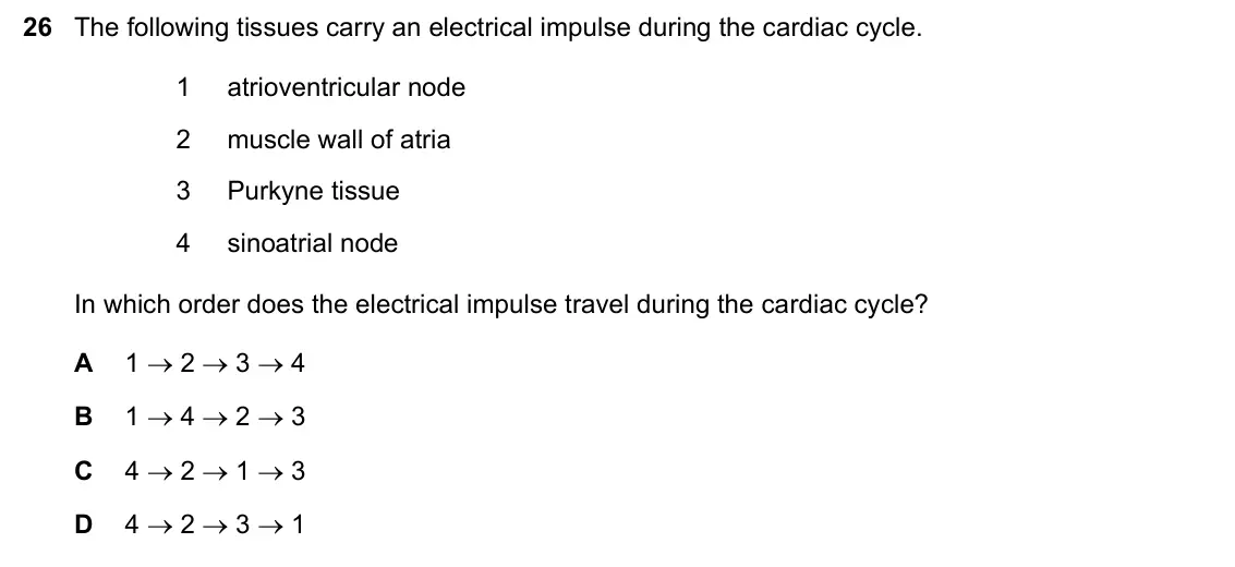 June 2024 Paper 1, question 26: The following tissues carry an electrical impulse during the cardiac cycle. 1 atrioventricular node 2 muscle wall of atria 3 Purkyne tissue 4 sinoatrial node In