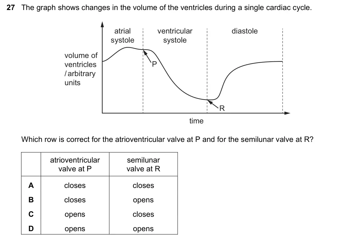 June 2024 Paper 1, question 27: The graph shows changes in the volume of the ventricles during a single cardiac cycle. atrial ventricular diastole systole systole volume of ventricles P / arbi