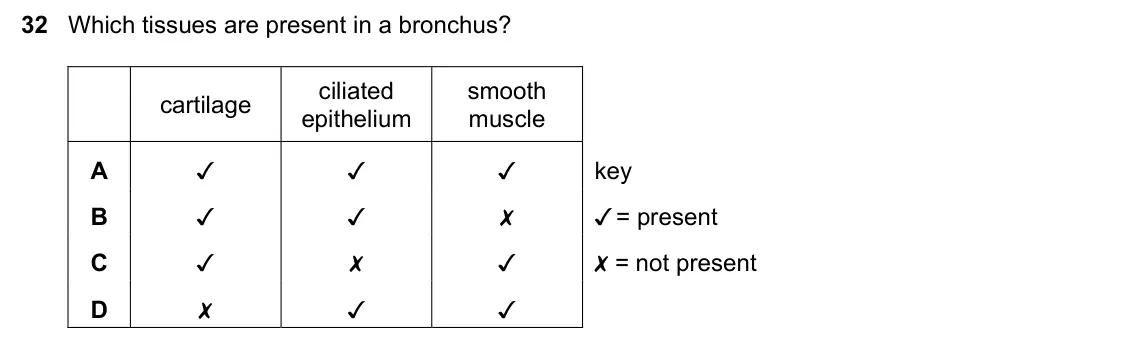 June 2024 Paper 1, question 32: Which tissues are present in a bronchus? ciliated smooth cartilage epithelium muscle A    key B     = present C     = not present D   