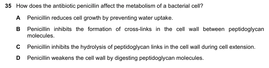 June 2024 Paper 1, question 35: How does the antibiotic penicillin affect the metabolism of a bacterial cell? A Penicillin reduces cell growth by preventing water uptake. B Penicillin inhibits