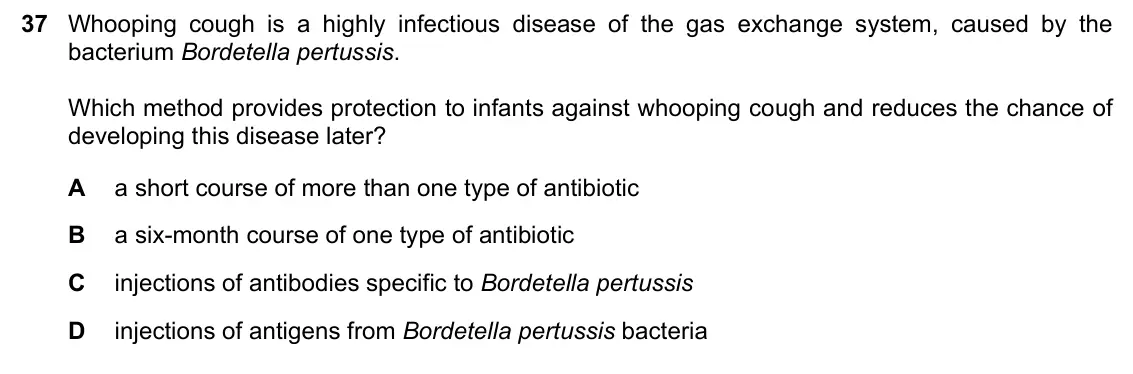 June 2024 Paper 1, question 37: Whooping cough is a highly infectious disease of the gas exchange system, caused by the bacterium Bordetella pertussis. Which method provides protection to infa