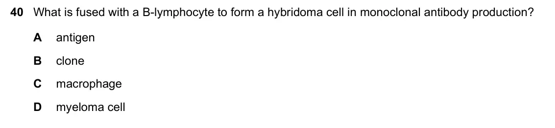 June 2024 Paper 1, question 40: What is fused with a B-lymphocyte to form a hybridoma cell in monoclonal antibody production? A antigen B clone C macrophage D myeloma cell