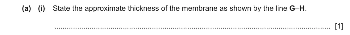 June 2024 Paper 2, question 1(a)(i): State the approximate thickness of the membrane as shown by the line G–H. [1]