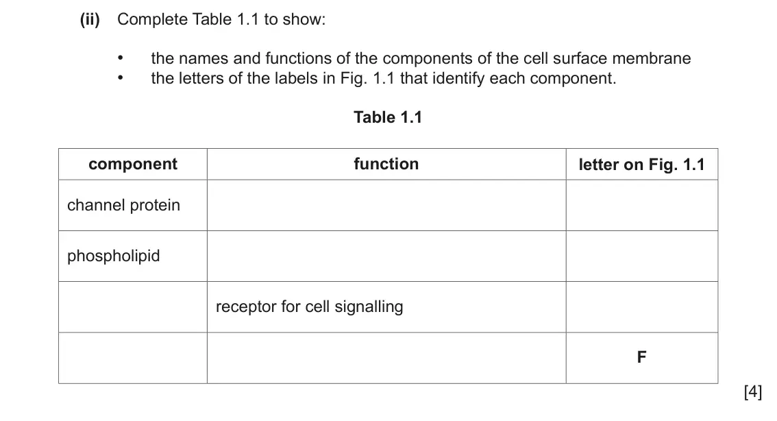 June 2024 Paper 2, question 1(a)(ii): Complete Table 1.1 to show: • the names and functions of the components of the cell surface membrane • the letters of the labels in Fig. 1.1 that identify each 