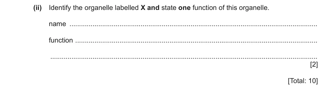 June 2024 Paper 2, question 1(b)(ii): Identify the organelle labelled X and state one function of this organelle. name function [2] [Total: 10]