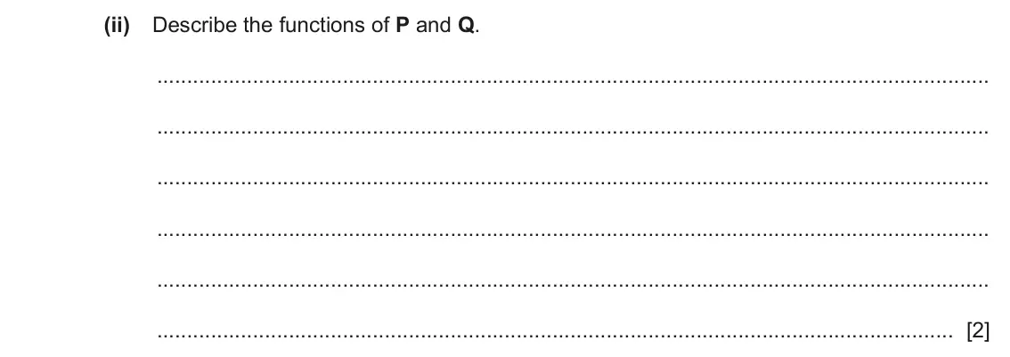 June 2024 Paper 2, question 2(b)(ii): Describe the functions of P and Q. [2]