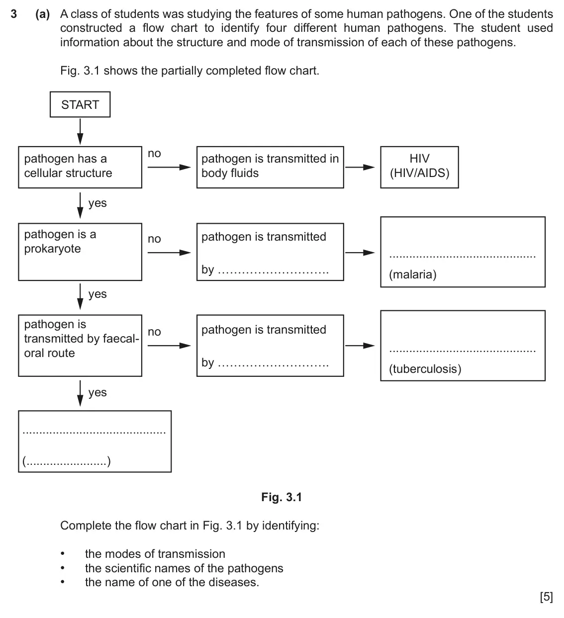 June 2024 Paper 2, question 3(a): A class of students was studying the features of some human pathogens. One of the students constructed a flow chart to identify four different human pathogens.