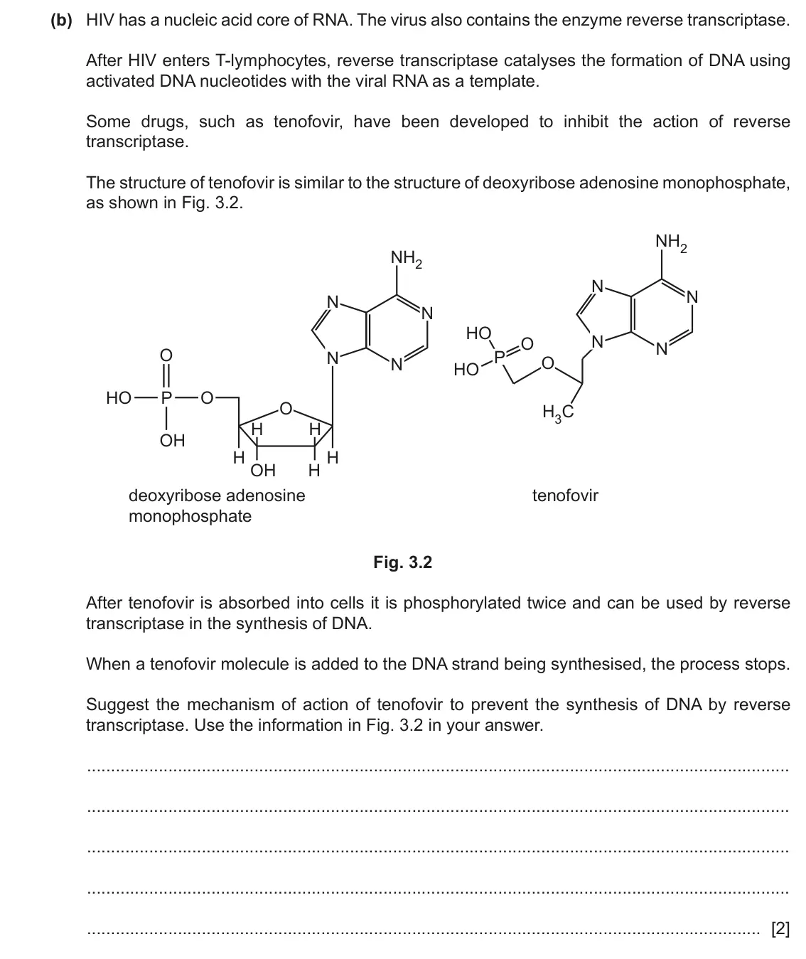 June 2024 Paper 2, question 3(b): HIV has a nucleic acid core of RNA. The virus also contains the enzyme reverse transcriptase. After HIV enters T‑lymphocytes, reverse transcriptase catalyses th