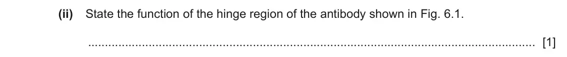 June 2024 Paper 2, question 6(a)(ii): State the function of the hinge region of the antibody shown in Fig. 6.1. [1]