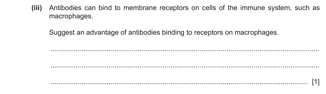 June 2024 Paper 2, question 6(a)(iii): Antibodies can bind to membrane receptors on cells of the immune system, such as macrophages. Suggest an advantage of antibodies binding to receptors on macroph