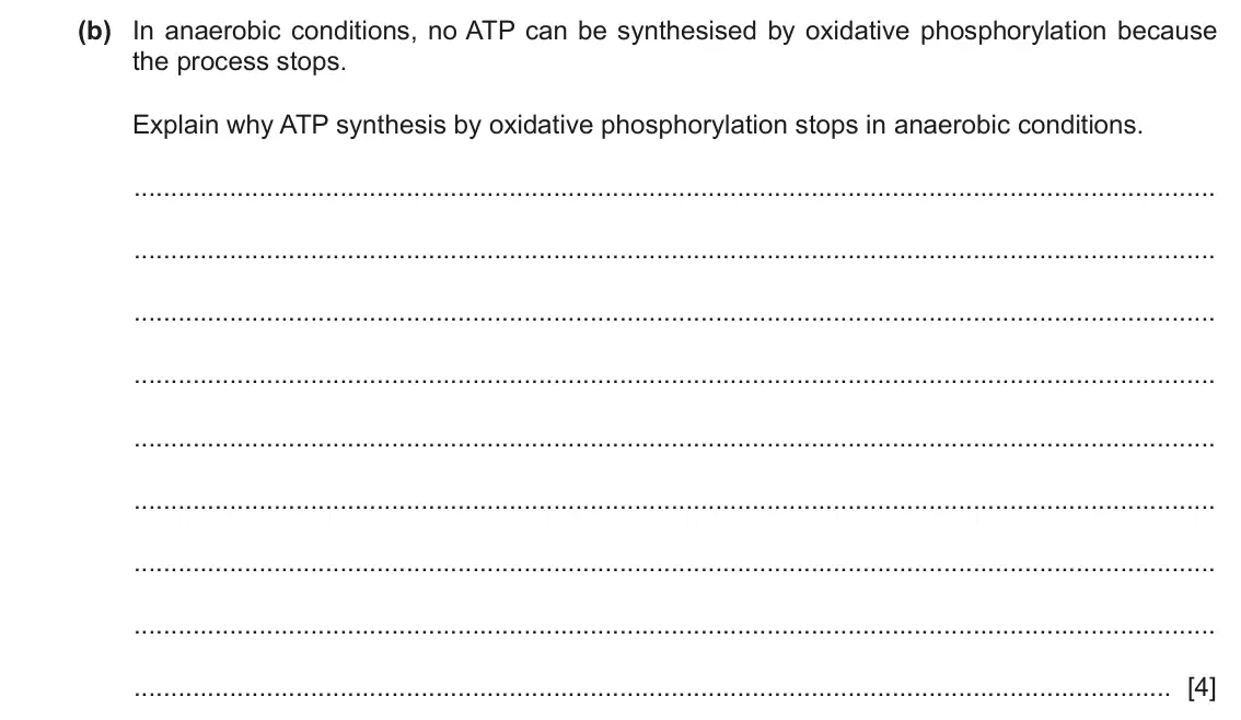 June 2024 Paper 4, question 1(b): In anaerobic conditions, no ATP can be synthesised by oxidative phosphorylation because the process stops. Explain why ATP synthesis by oxidative phosphorylatio