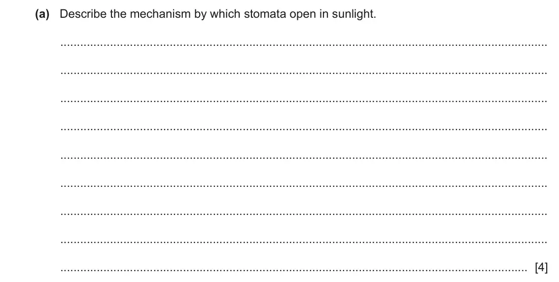 June 2024 Paper 4, question 3(a): Describe the mechanism by which stomata open in sunlight. [4]