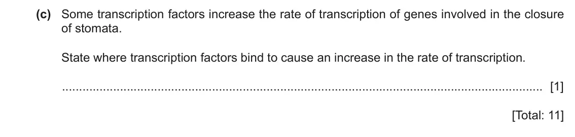 June 2024 Paper 4, question 3(c): Some transcription factors increase the rate of transcription of genes involved in the closure of stomata. State where transcription factors bind to cause an in