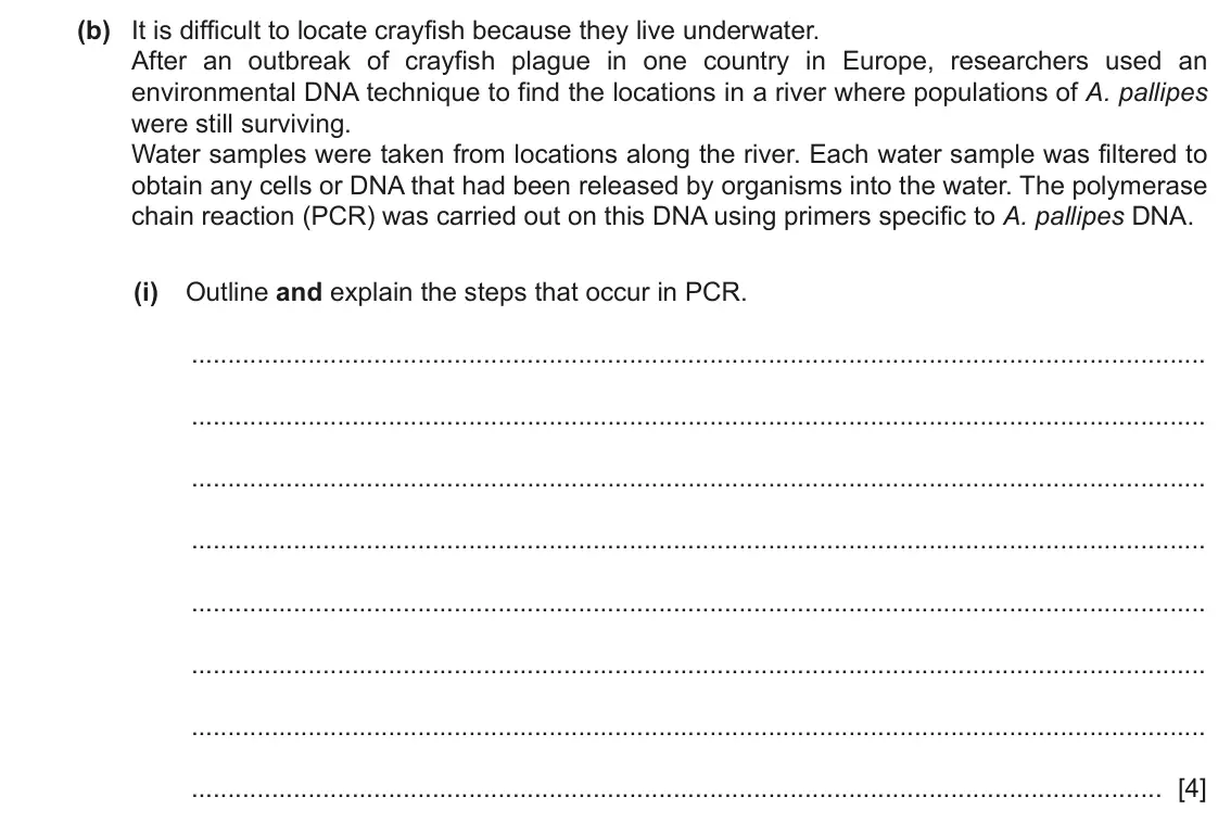 June 2024 Paper 4, question 4(b)(i): Outline and explain the steps that occur in PCR. [4]