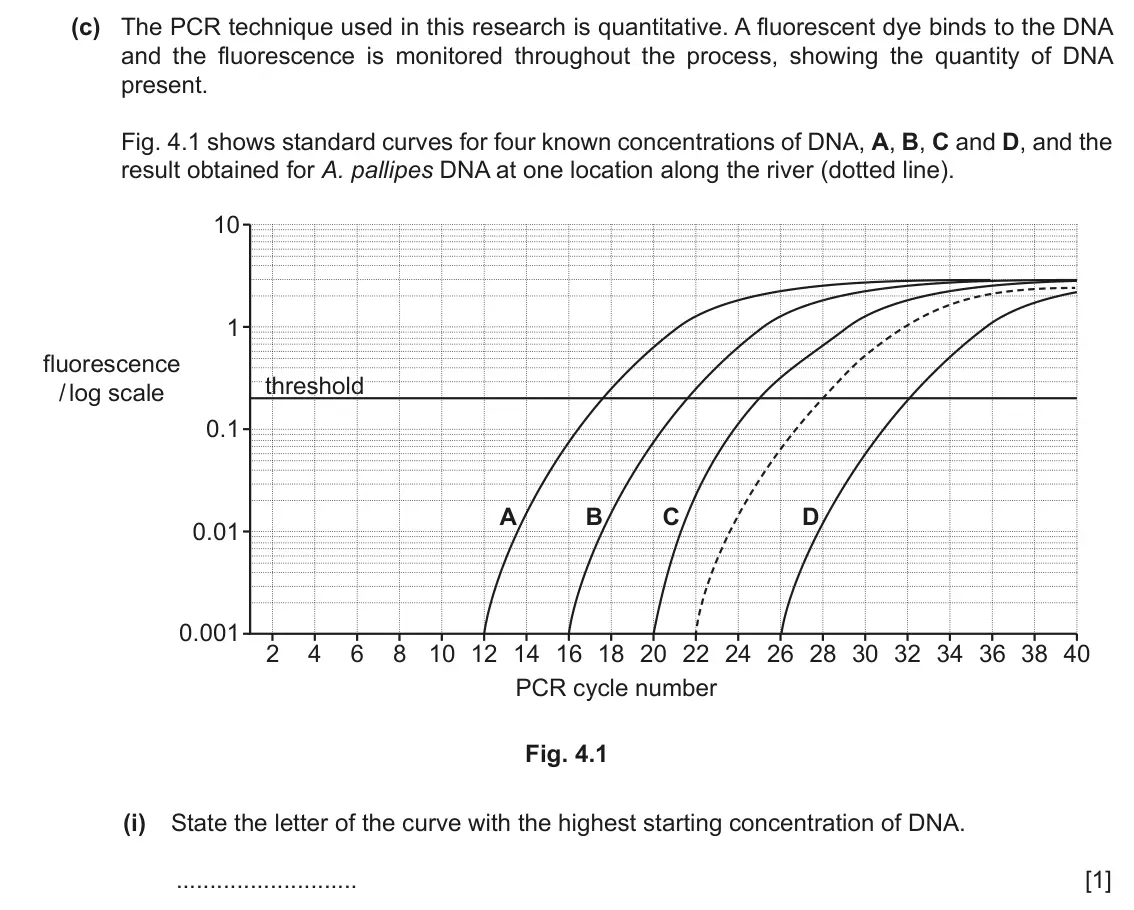 June 2024 Paper 4, question 4(c)(i): State the letter of the curve with the highest starting concentration of DNA. [1]