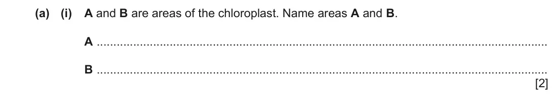 June 2024 Paper 4, question 5(a)(i): A and B are areas of the chloroplast. Name areas A and B. A B [2]