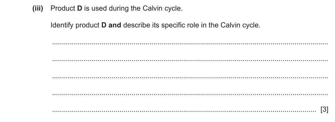 June 2024 Paper 4, question 5(a)(iii): Product D is used during the Calvin cycle. Identify product D and describe its specific role in the Calvin cycle. [3]