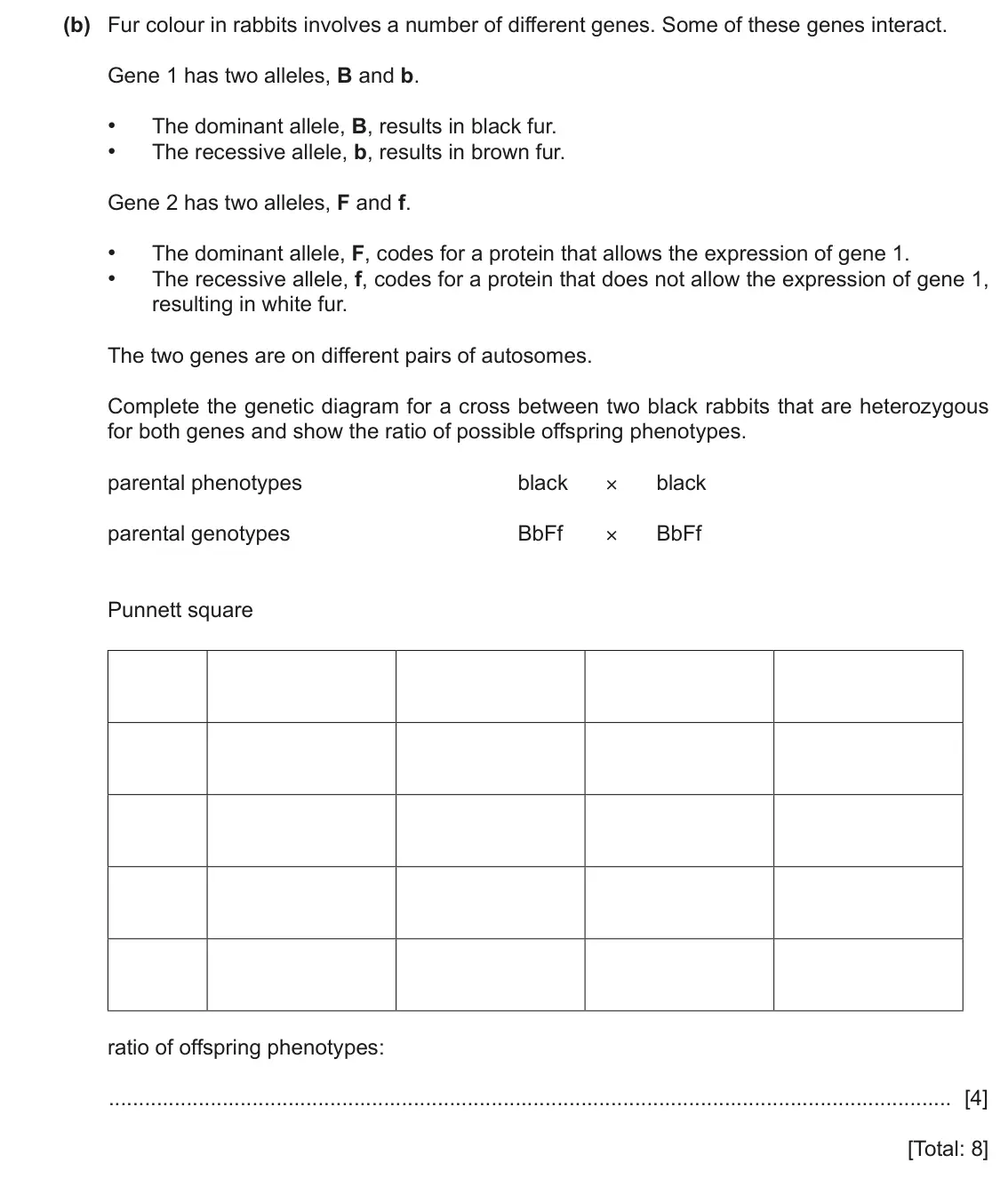 June 2024 Paper 4, question 6(b): Fur colour in rabbits involves a number of different genes. Some of these genes interact. Gene 1 has two alleles, B and b. • The dominant allele, B, results in 